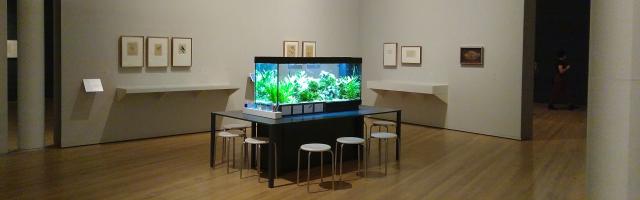 Aquarium von allen Seiten einsehbar