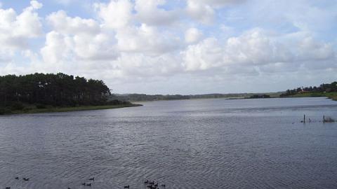Panzerwels Lebensraum Laguna del Diario in Uruguay