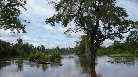 Lebensraum der Prachtschmerle
