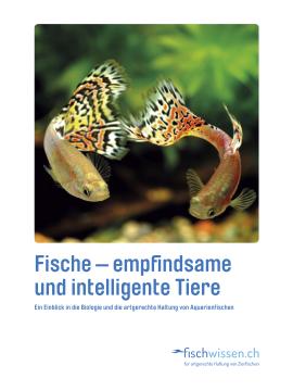 Fischwissen-Broschüre "Fische – empfindsame und intelligente Tiere"