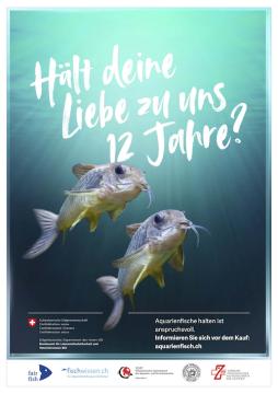 Plakat zur Aquarienfisch-Kampagne