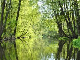 Lebensraum Süsswasser