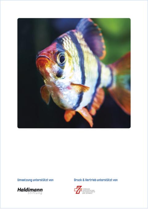 Fischwissen-Broschüre - Rückseite - Unterstützer