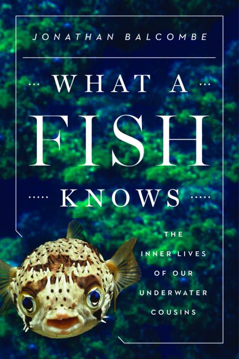 What A Fish Knows - Buch von Jonathan Balcombe.jpg