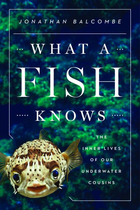 What A Fish Knows - Buch von Jonathan Balcombe.jpg