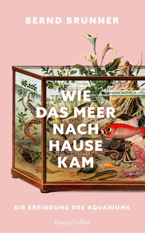 Buchcover von Wie das Meer nach Hause kam