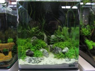 Nano-Aquarium