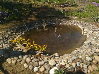 Teich in einem Garten