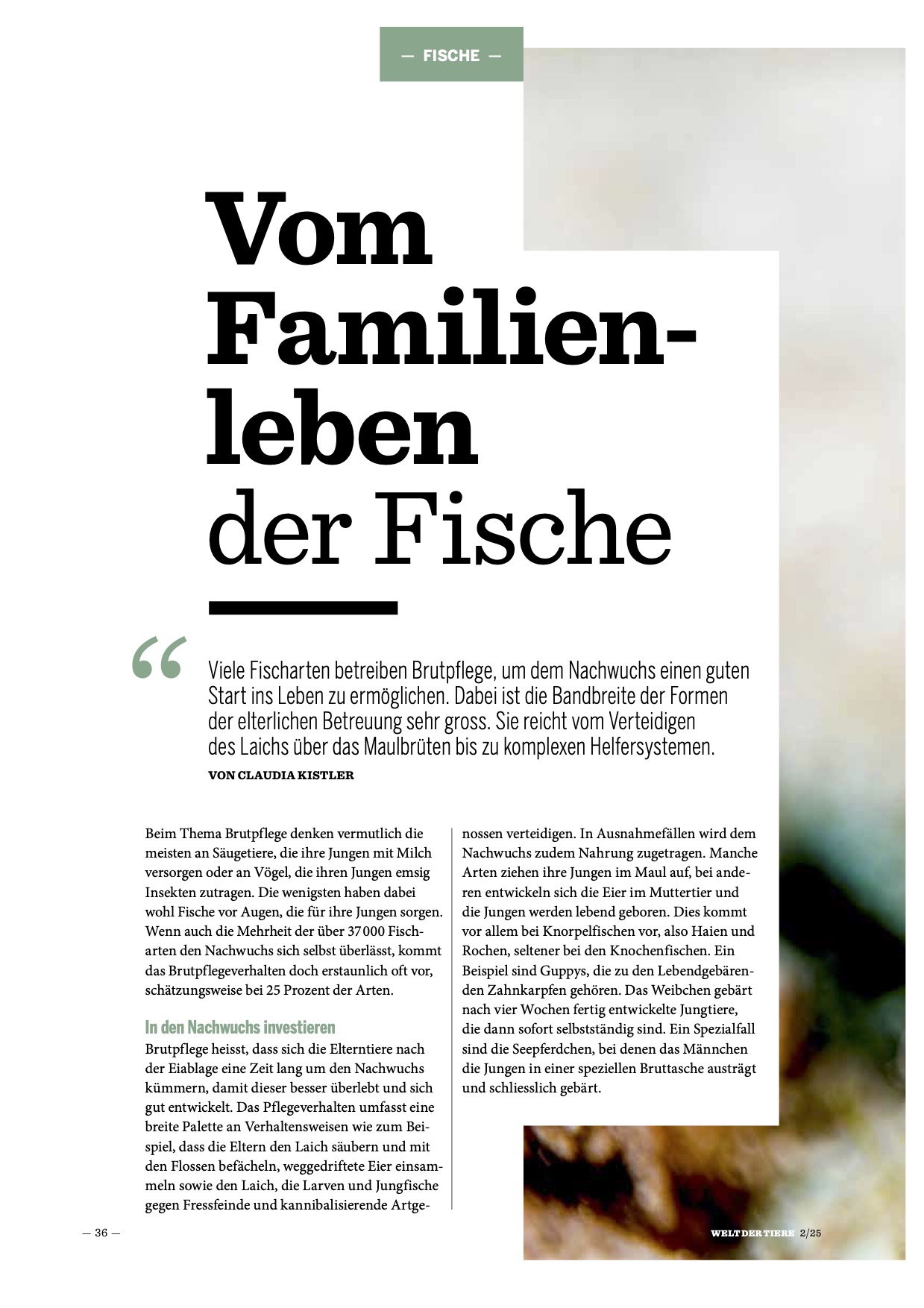 Cover Artikel