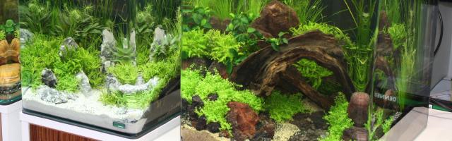 Nano-Aquarien