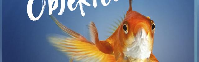 Kampagnen-Plakat: Wir sind keine Deko-Objekte