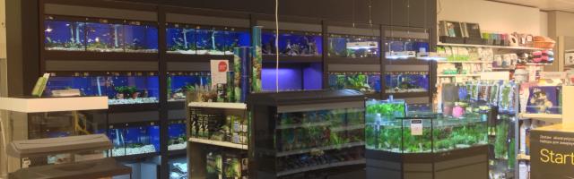Zoohandlung mit Aquarien