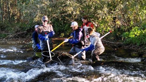 Forscher:innen bei der Feldarbeit in einem Gewässer