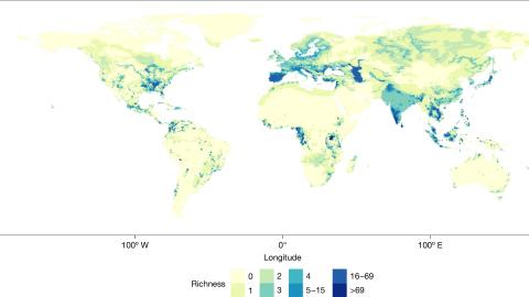 Weltkarte mit Verteilung der bedrohten Süsswasserarten