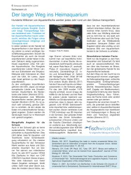 Fischwissen-Artikel: Der lange Weg ins Heimaquarium