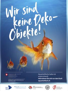 Kampagnen-Plakat: Wir sind keine Deko-Objekte