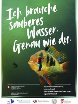 Plakat der Aquarienfisch-Kampagne