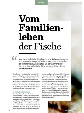 Artikel "Vom Familienleben der Fische"