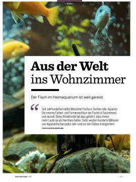 Cover Artikel Handel mit Aquarienfischen 