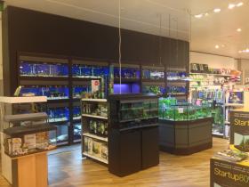 Zoohandlung mit Aquarien