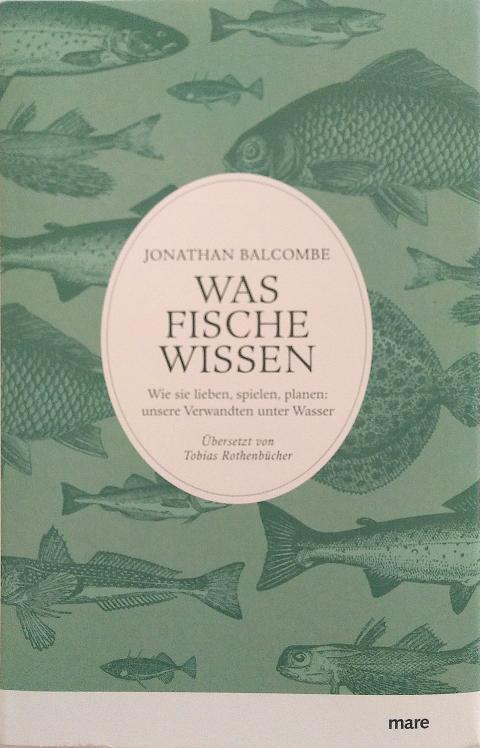 Was Fische wissen