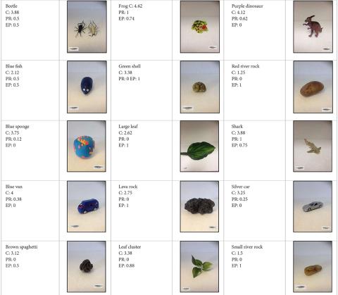 Abb. 1 mit präsentierten Objekten