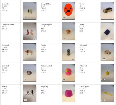 Abb. 1 mit präsentierten Objekten