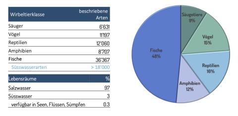 Anzahl und Anteile der Arten pro Wirbeltierklasse