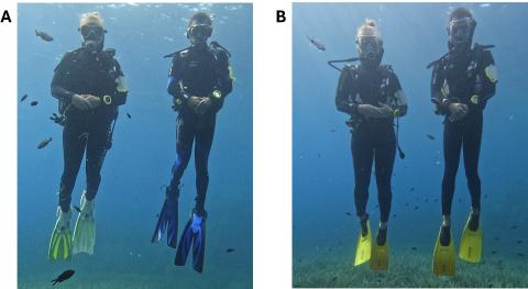 Zwei Taucher in Tauchausrüstung