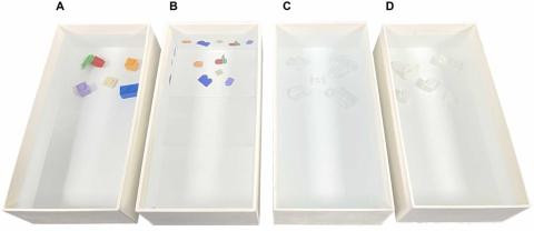 Behälter mit den Objekten für Wahlversuch