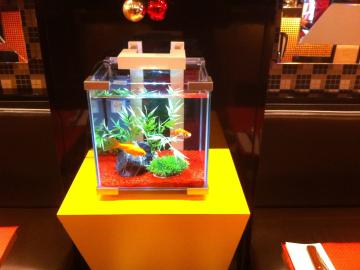 Nanonaquarium