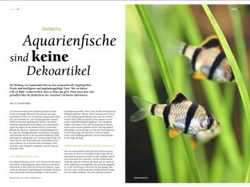 Aquarienfische sind keine Dekoartikel, Welt der Tiere 2015