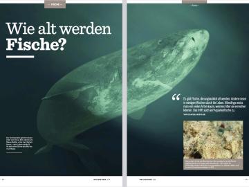 Titelbild Artikel Alter 