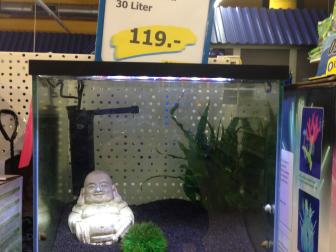 Nanonaquarium