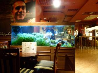 Salzwassser-Aquarium in einem Flughafen