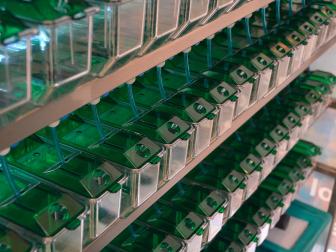 Standardhaltung im Labor: kleine Becken ohne Strukturen