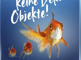 Kampagnen-Plakat: Wir sind keine Deko-Objekte