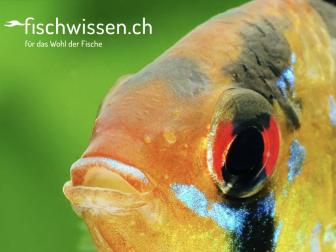 Neuer Claim: für das Wohl der Fische
