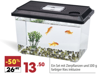Gesetzteswidriges Aquarienangebot