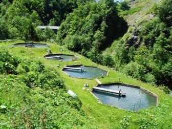 Fischzuchtanlage in den Bergen