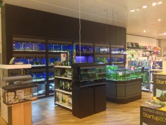Zoohandlung mit Aquarien